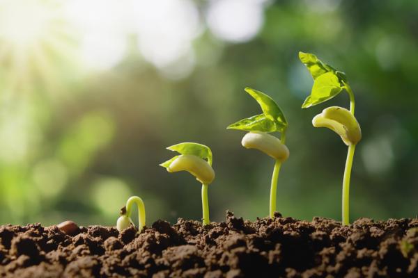 Biología I - 3ro Año - Mañana - A