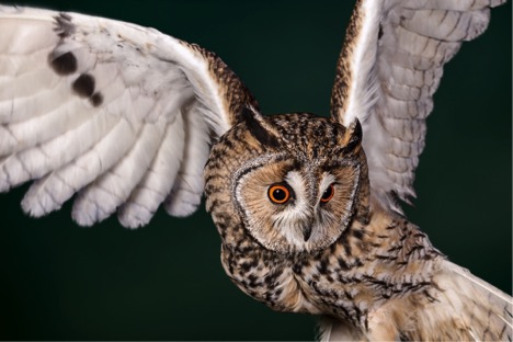 Filosofía - 5to Año - Mañana - B