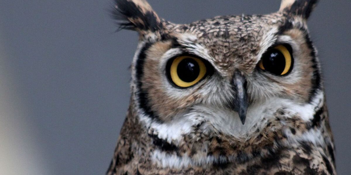 Filosofía - 5to Año - Mañana - C